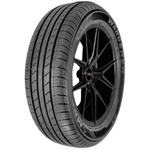 Wanderer Street Eco 89H